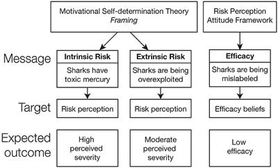 Framing Effects on Attitudes and Intentions Toward Shark Meat Consumption in Lima, Peru